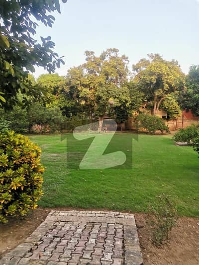 10 Kanal Old House For Sale In Main Cantt