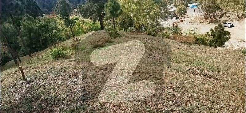 8 Marla plot For Sale In Shimla pahari Dehri area Abbottabad