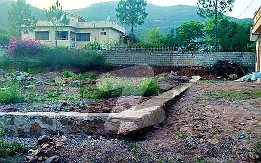 ISLAMABAD SHAH ALLAH DITTA 20 KANAL PLOT THIS IS A LEVEL PLOT IN THE MIDDLE OF THE HEART OF SHAH ALLAH. .