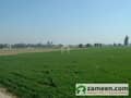 1 Agricultural Land