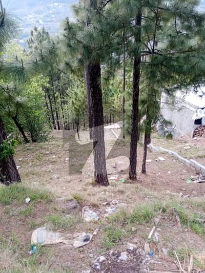 5 Marla plot for sale in Murree