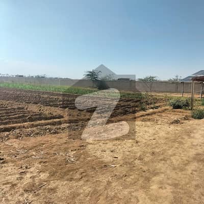1000 Yards And Multiple Acre Land For Farming Is Available At Prime Location Of Karachi Gadap Town
