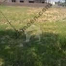 19 Marla Residential Plot For Sale At Cheap Price
