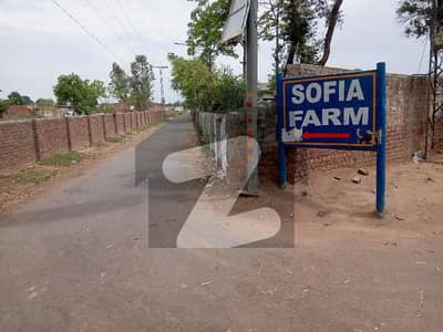 4 Canal Farm House Land extension dh 7
Far Sale in Bedian Road Lahore