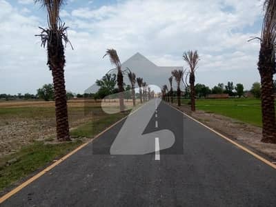 4 Canal Farm House Land 
Far Sale in Bedian Road Lahore