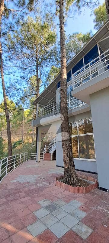 Luxurious Living: 1 Kanal Brand New Villa In Pine City, Islamabad