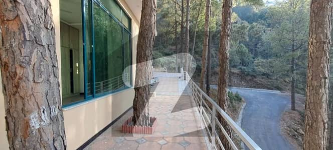 Your Dream Home In Mountains : Luxury 1 Kanal Villa For Sale in Pine City, Makhnial, Islamabad