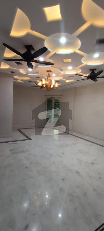 Ground Portion For Rent in E11 Islamabad
