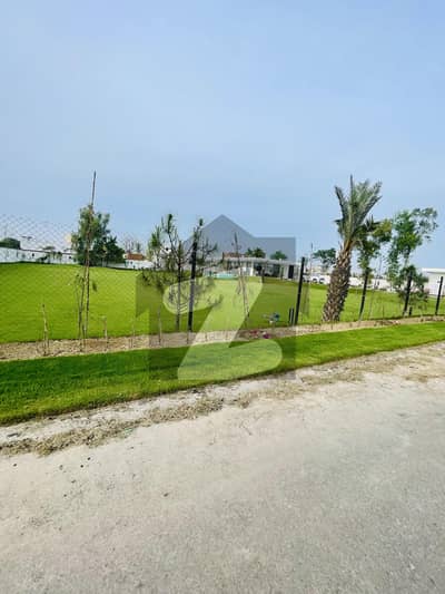 8 Knal Land For Sale