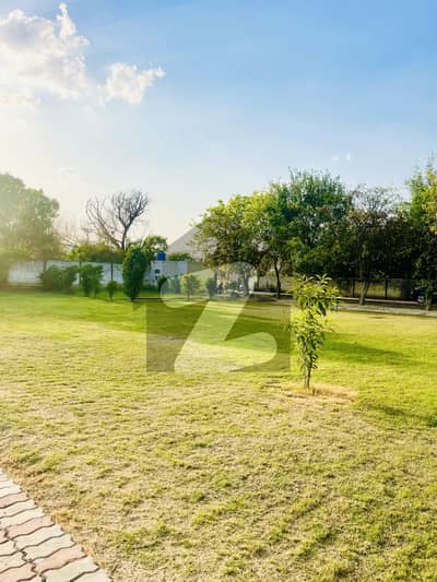 1 Kanal Farm House For Sale Bedian Road Lahore