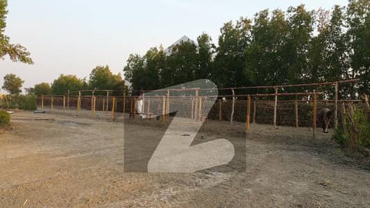 1-Acre (4000-SQYDS) Land/Plot available on Rent near Gharo, Best for Live-Stock, Cattle, Goat, Poultry Farming etc. ,
