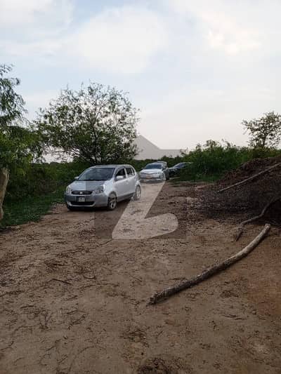 240 knal agriculture land for sale in kalar Khar chakwal