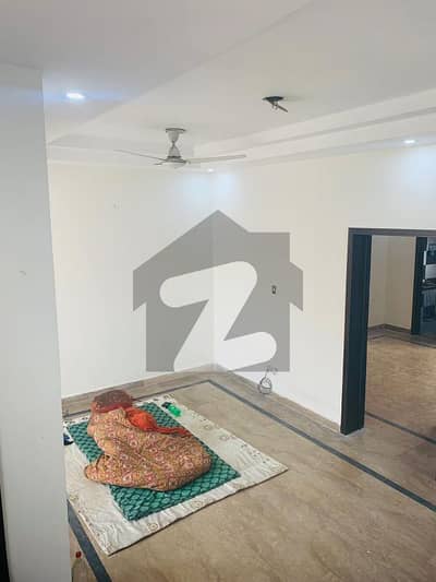 پیراگون