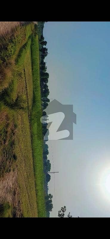 34 Acre Land For Sale, Ryk