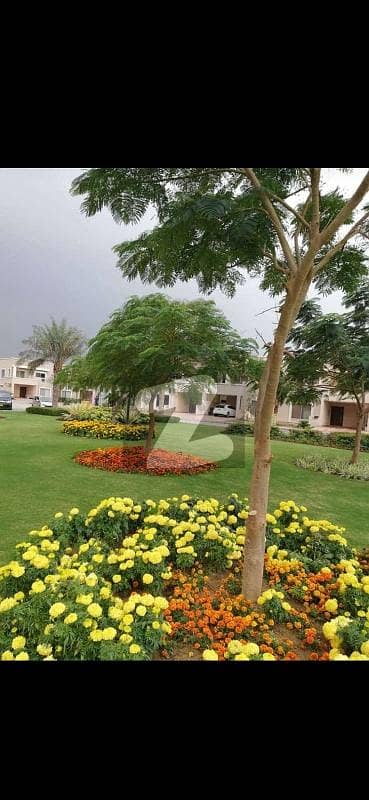 Precinct 16 250Yards Plot Available For Sell In Bahria Town Karachi