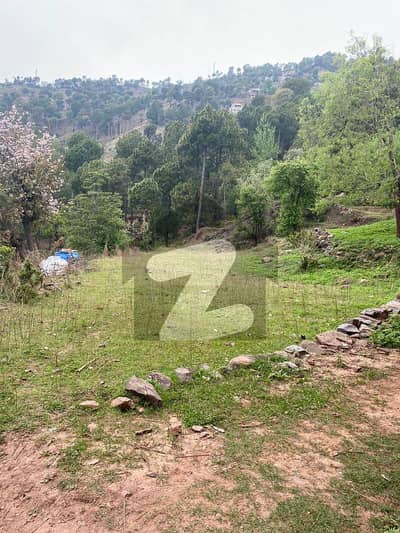 Step Up to Spacious Living: 4 Marla Plots in Meadows Valley Murree Reserve Now!