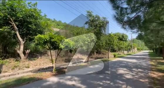 Farm House Plot For Sale In Islamabad