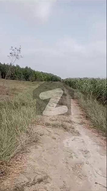 Agriculture Land For Sale