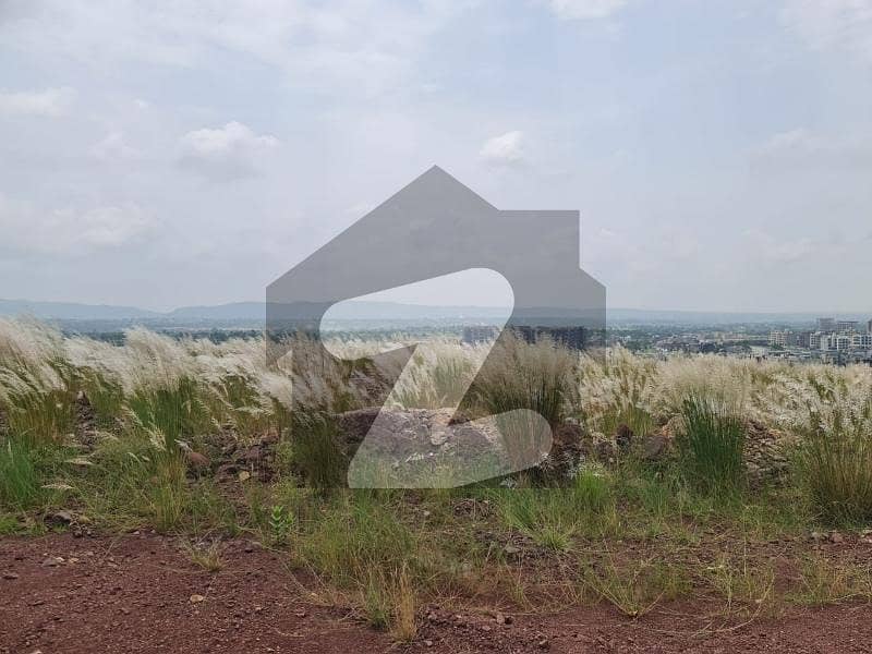 Farm House Land for sale in Chak Shehzad