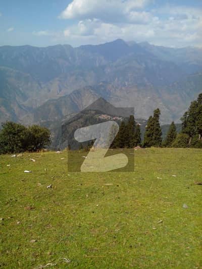 2.5 kanal Land Available For Sale at kaghan colony abbottabad