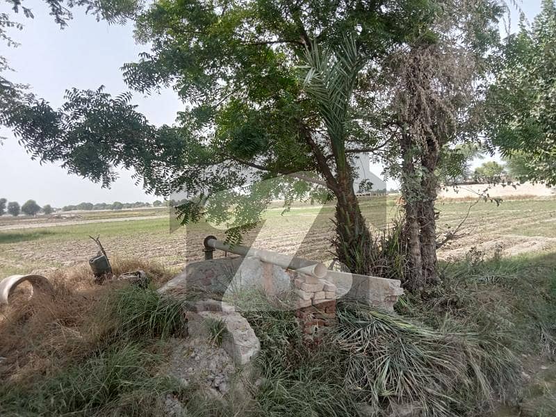 خانپور روڈ رحیم یار خان میں 24 کنال زرعی زمین 1.3 کروڑ میں برائے فروخت۔