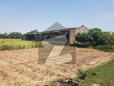 88 Kanal Farm House For Sale In Beautiful Kahuta Road