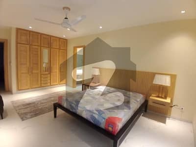 Brand New Fully Furnished 2 Beds Lower Ground Portion For Rent In F7
