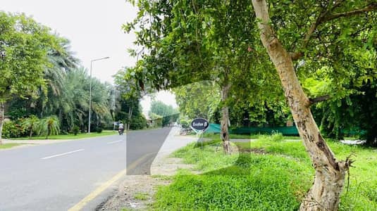 37 Marla Corner Plot No-1271 Ideal Location Residential Plot In 70"Ft Road For Sale at Prime Location of DHA Lahore