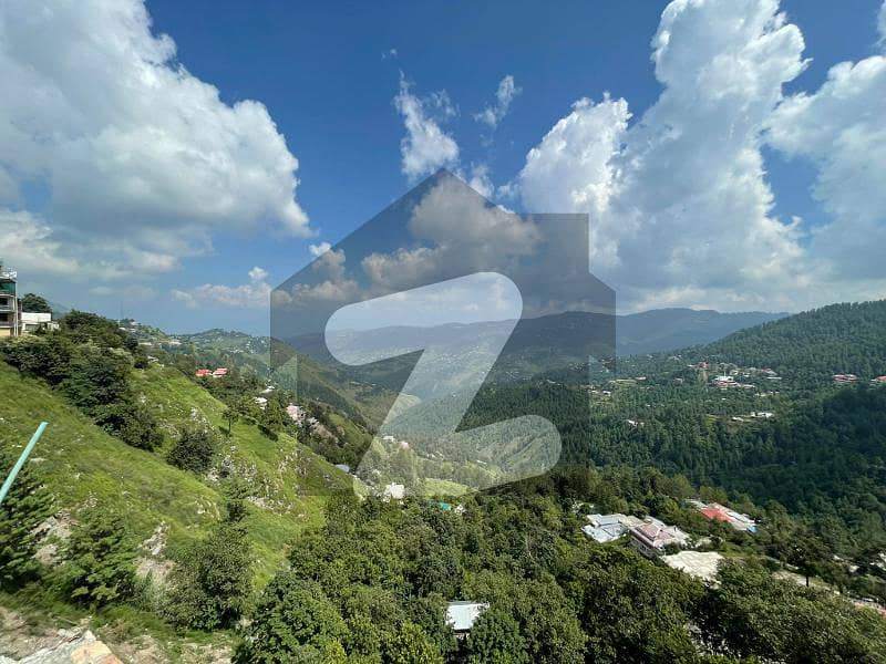 دریا گلی مری میں 1 کمرے کا 5 مرلہ فلیٹ 1.2 لاکھ میں کرایہ پر دستیاب ہے۔ دریا گلی مری میں 1 کمرے کا 5 مرلہ فلیٹ 1.2 لاکھ میں کرایہ پر دستیاب ہے۔