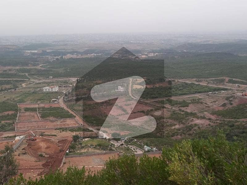 Best Options For Residential Plot Is Available For Sale In Shah Allah Ditta