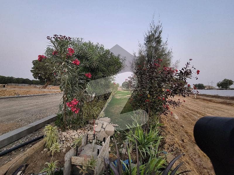 Prime Location 120 Square Yards Residential Plot In Karachi Is Available For Sale