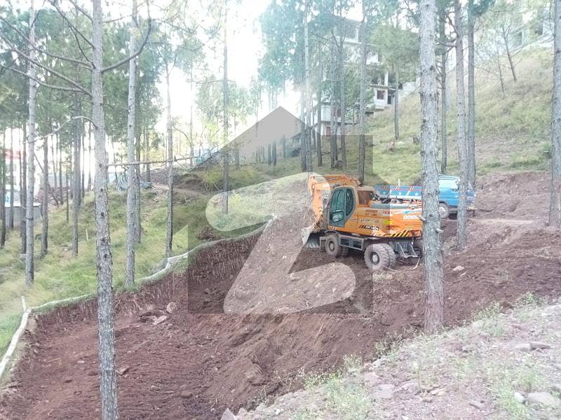 2.25 Marla Plot With Immediate Possession- Gold Block - PINE Gardens Murree- Snowfall Area In Murree -Lakot Is Available On Easy Monthly Installments And Cash By ASCO Properties, Islamabad.