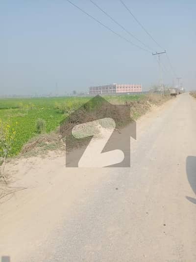 شامکے بھٹیاں لاہور میں 70 کنال زرعی زمین 42.0 کروڑ میں برائے فروخت۔