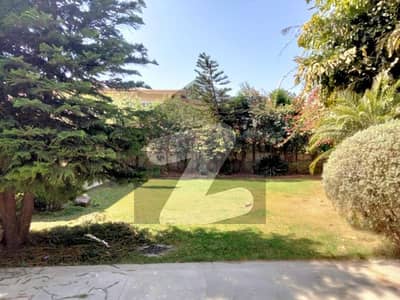 1000 Sqyd With Huge Lush Green Lawn Luxury House For Rent In E-7