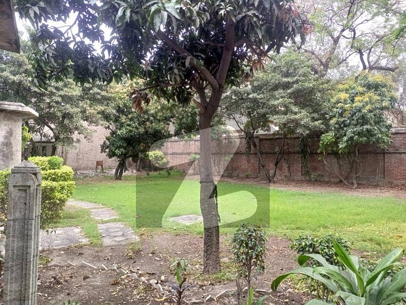 Beautiful Big House In Main Cantt Beautiful Big House In Main Cantt