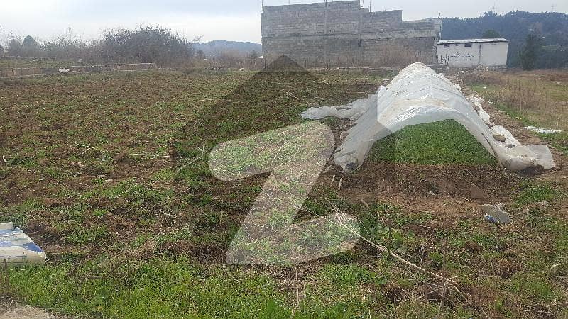 19 Marla Plot For Sale In Neelay Pair Abbottabad