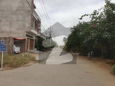 40 Feet Road Near Gate Ideal Location And Reasonable Price