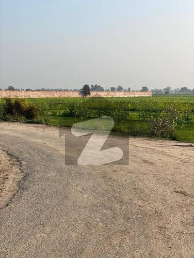 بیدیاں روڈ لاہور میں 15 کنال زرعی زمین 3.3 کروڑ میں برائے فروخت۔