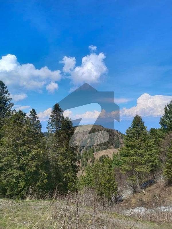 27 Marla Commercial Plot For Sale In Nathiagali Abbottabad