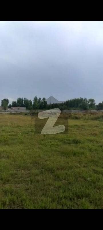 Top Of The Commercial Plot For Sale Location Taru Jabba Pasrur