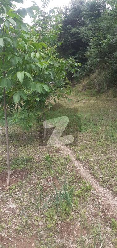 7 Marla Plot For Sale In Sector K Township Abbottabad