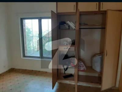Luxury Flat For Rent
