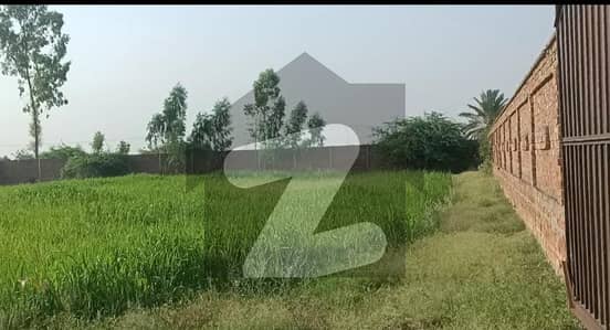 5 Kanal Plot For Sale With Boundary Wall