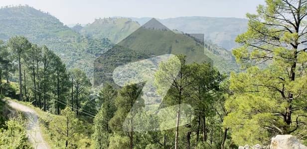 Prime Location 20 Kanal Residential Plot Is Available In Affordable Price In Pir Sohawa Road
