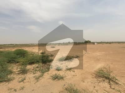 Spacious Prime Location Residential Plot Is Available In Safari Palm Village For Sale