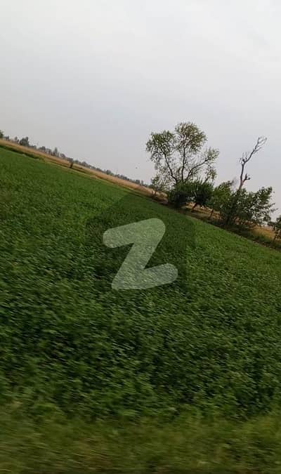 ڈی ایچ اے فیز 10 ڈیفنس (ڈی ایچ اے),لاہور میں 24 کنال زرعی زمین 10.5 کروڑ میں برائے فروخت۔