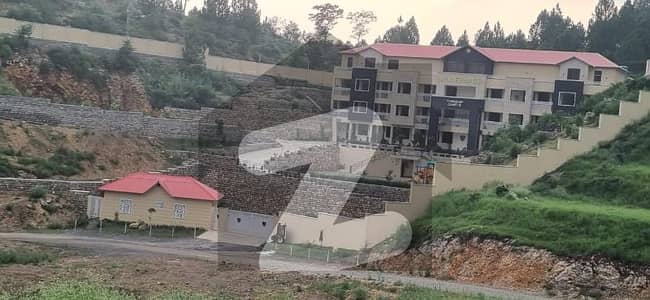 1 Kanal Plot Available For Sale In Sector C Township Abbottabad