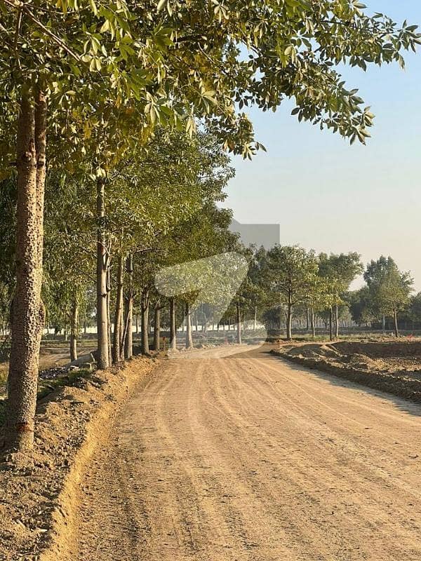Land in Golf Residencia Farm House Plot Society By Yasir Brother Real Estate Per Kanal 70 Lac 4KM From DHA Phase 7 Lahore.