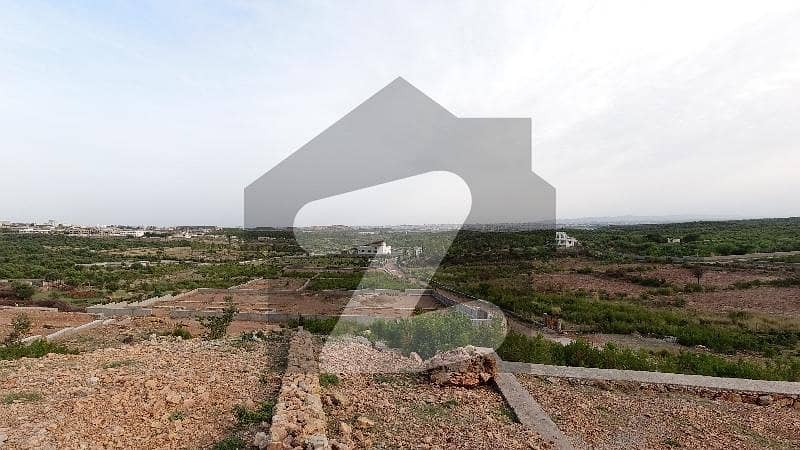 Centrally Located On Excellent Location Residential Plot Available In Shah Allah Ditta For sale