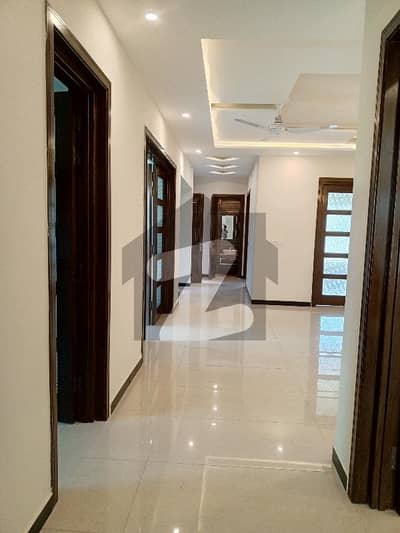 Brand New House Available For Rent In D-12